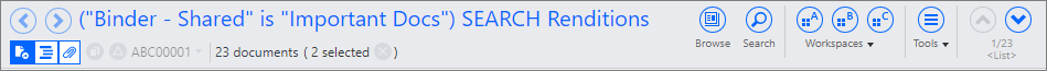 Document information on the toolbar